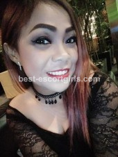 Companion Jakarta Shira